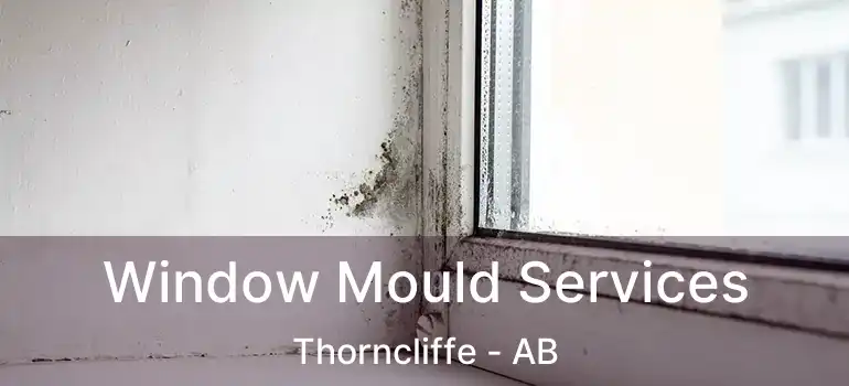  Window Mould Services Thorncliffe - AB