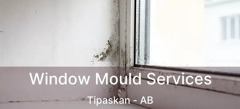  Window Mould Services Tipaskan - AB
