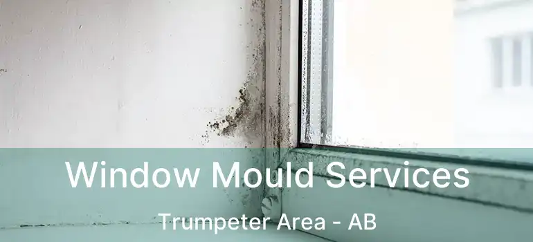  Window Mould Services Trumpeter Area - AB
