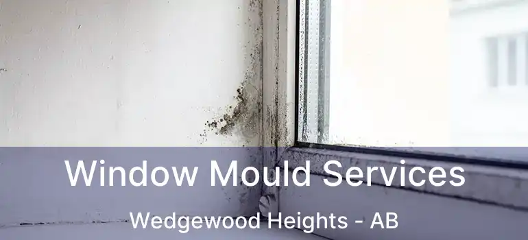  Window Mould Services Wedgewood Heights - AB