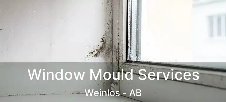  Window Mould Services Weinlos - AB