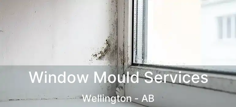  Window Mould Services Wellington - AB
