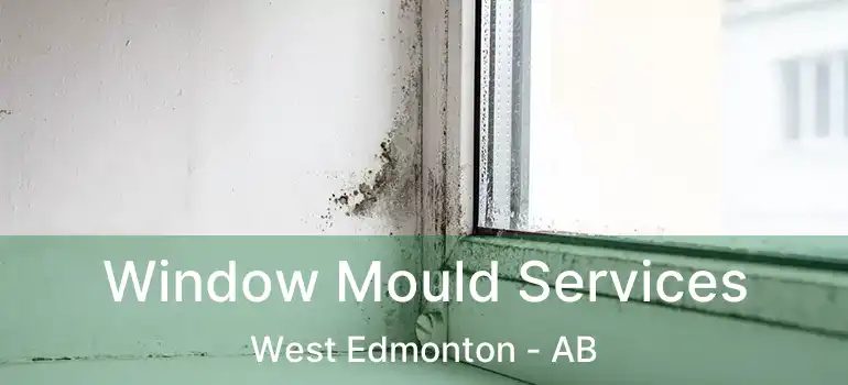  Window Mould Services West Edmonton - AB