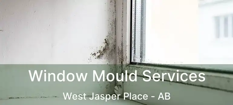  Window Mould Services West Jasper Place - AB