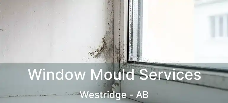  Window Mould Services Westridge - AB