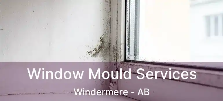  Window Mould Services Windermere - AB
