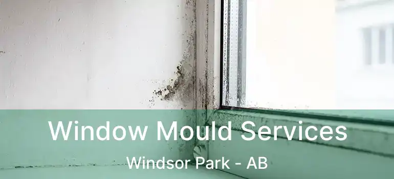 Window Mould Services Windsor Park - AB