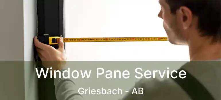  Window Pane Service Griesbach - AB