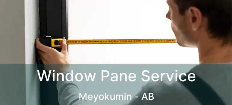  Window Pane Service Meyokumin - AB