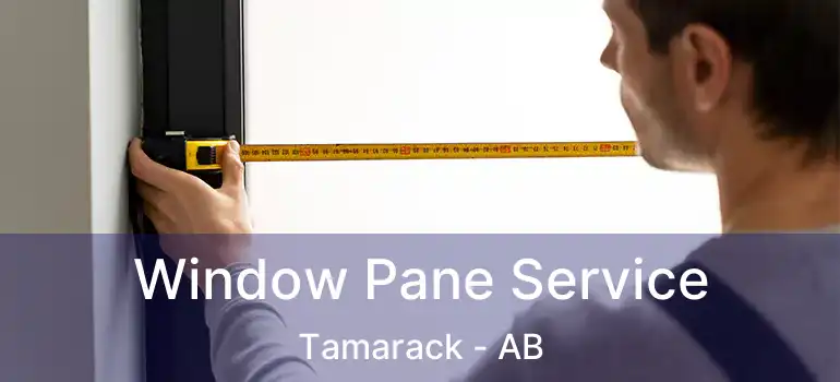  Window Pane Service Tamarack - AB