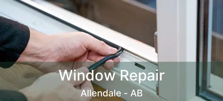  Window Repair Allendale - AB