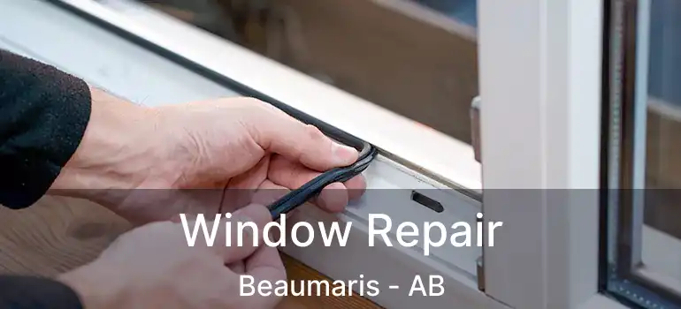  Window Repair Beaumaris - AB
