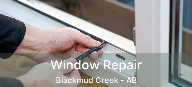  Window Repair Blackmud Creek - AB