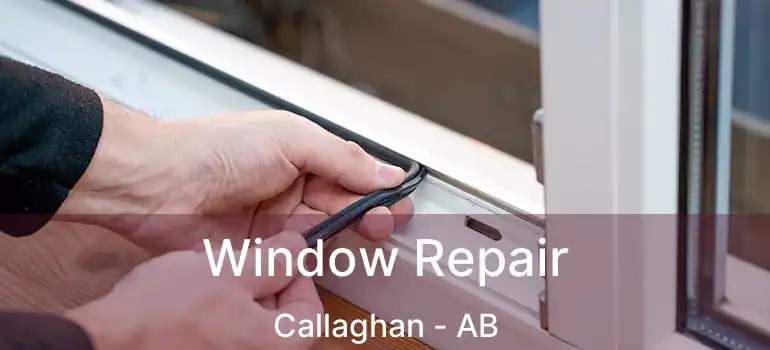  Window Repair Callaghan - AB