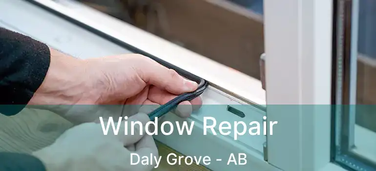  Window Repair Daly Grove - AB