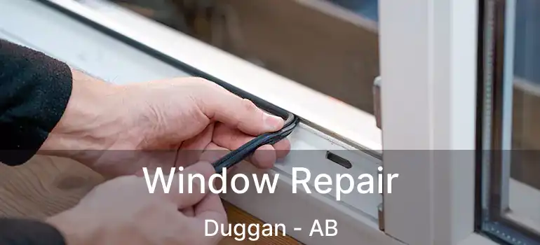  Window Repair Duggan - AB