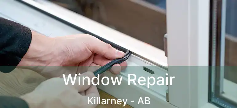  Window Repair Killarney - AB
