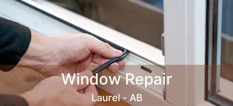  Window Repair Laurel - AB