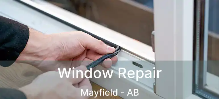  Window Repair Mayfield - AB