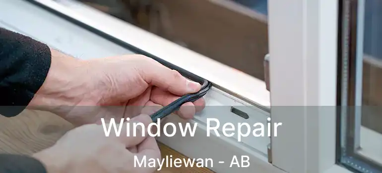  Window Repair Mayliewan - AB