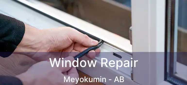  Window Repair Meyokumin - AB