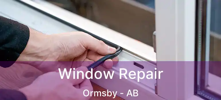  Window Repair Ormsby - AB