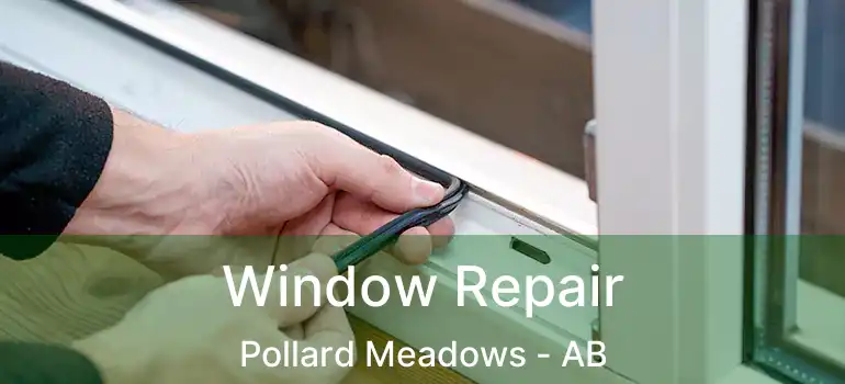 Window Repair Pollard Meadows - AB