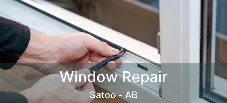  Window Repair Satoo - AB