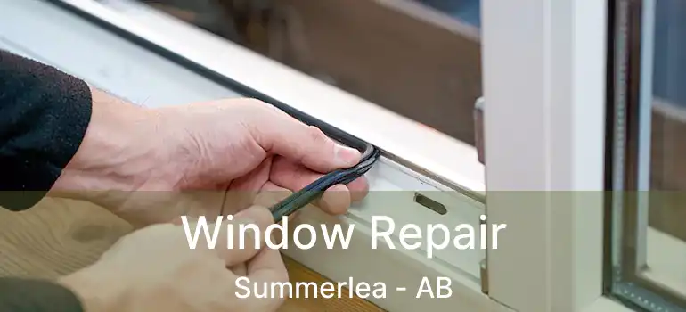  Window Repair Summerlea - AB