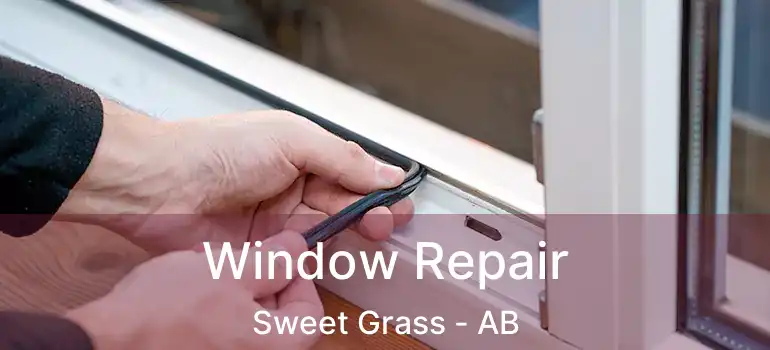  Window Repair Sweet Grass - AB