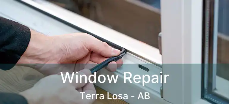  Window Repair Terra Losa - AB