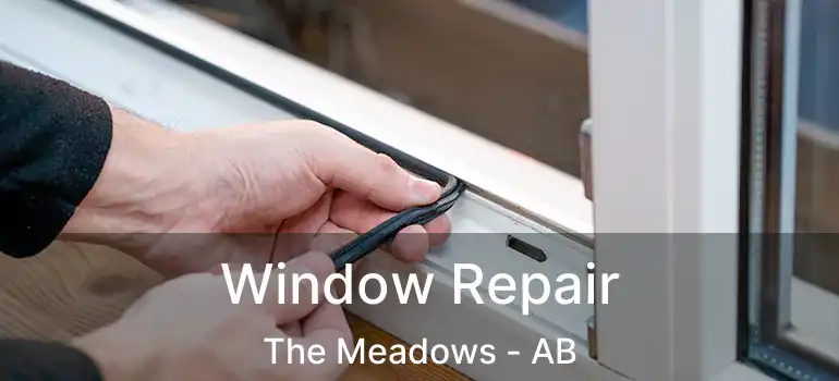  Window Repair The Meadows - AB