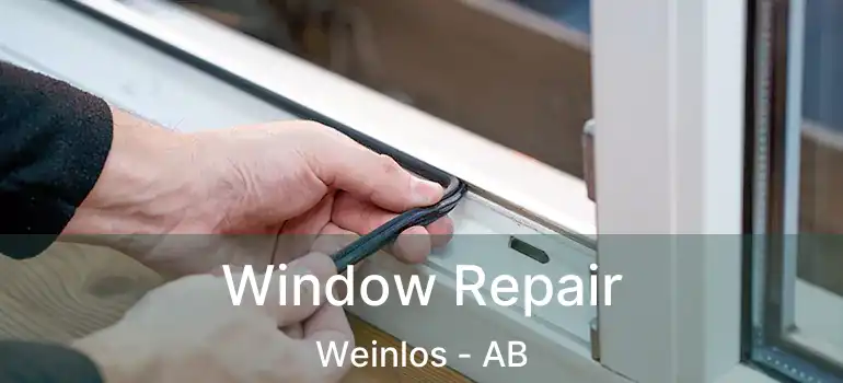  Window Repair Weinlos - AB