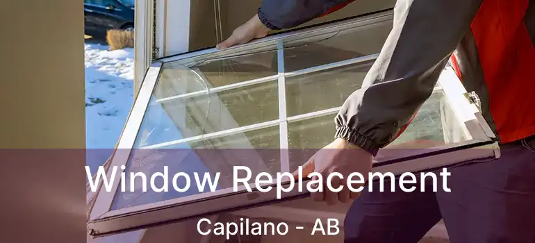  Window Replacement Capilano - AB
