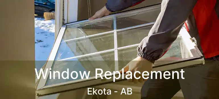 Window Replacement Ekota - AB