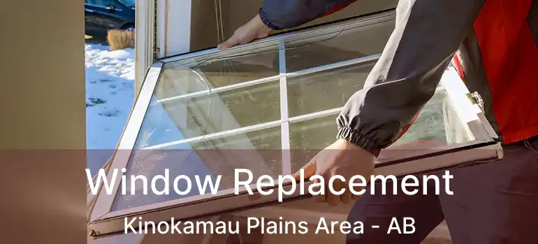  Window Replacement Kinokamau Plains Area - AB