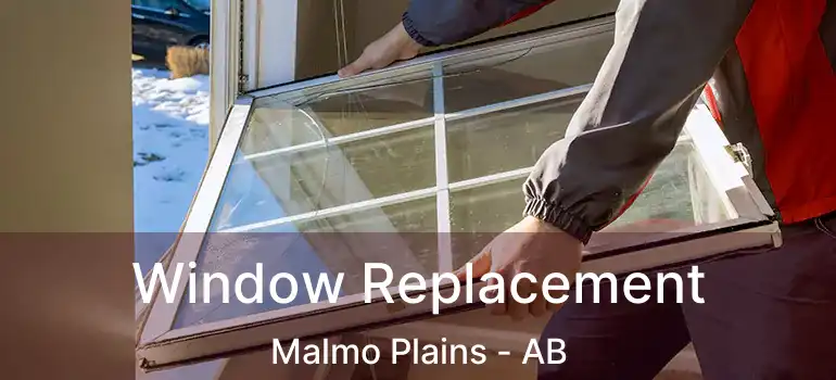  Window Replacement Malmo Plains - AB