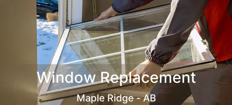  Window Replacement Maple Ridge - AB