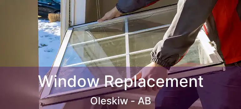  Window Replacement Oleskiw - AB