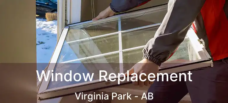  Window Replacement Virginia Park - AB