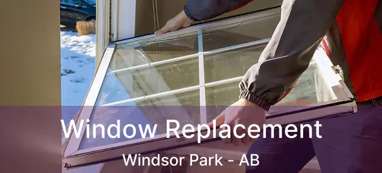  Window Replacement Windsor Park - AB