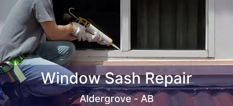  Window Sash Repair Aldergrove - AB