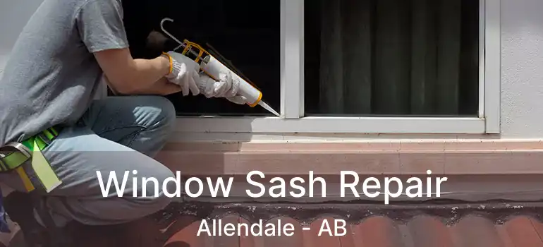  Window Sash Repair Allendale - AB