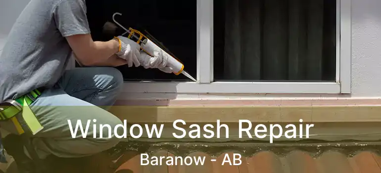  Window Sash Repair Baranow - AB