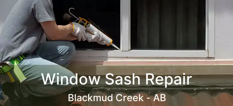  Window Sash Repair Blackmud Creek - AB