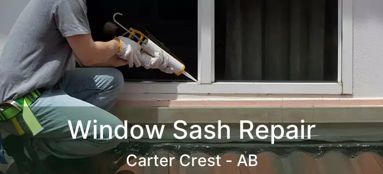  Window Sash Repair Carter Crest - AB
