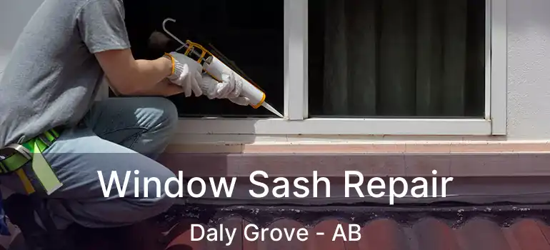  Window Sash Repair Daly Grove - AB
