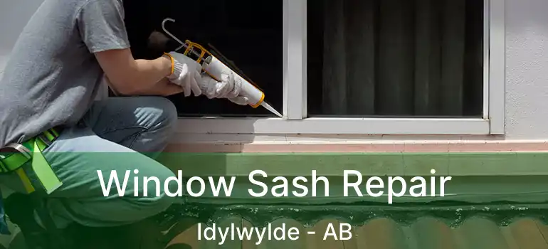  Window Sash Repair Idylwylde - AB