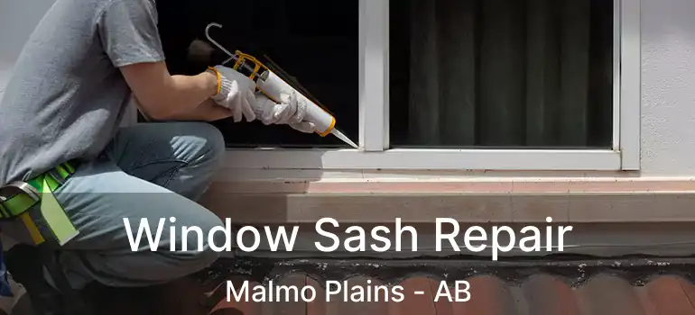  Window Sash Repair Malmo Plains - AB