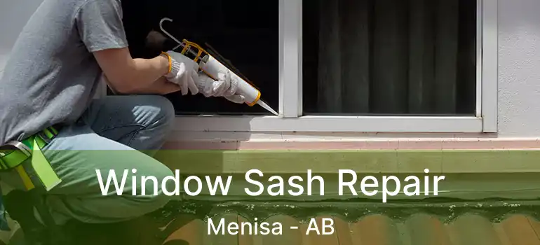  Window Sash Repair Menisa - AB